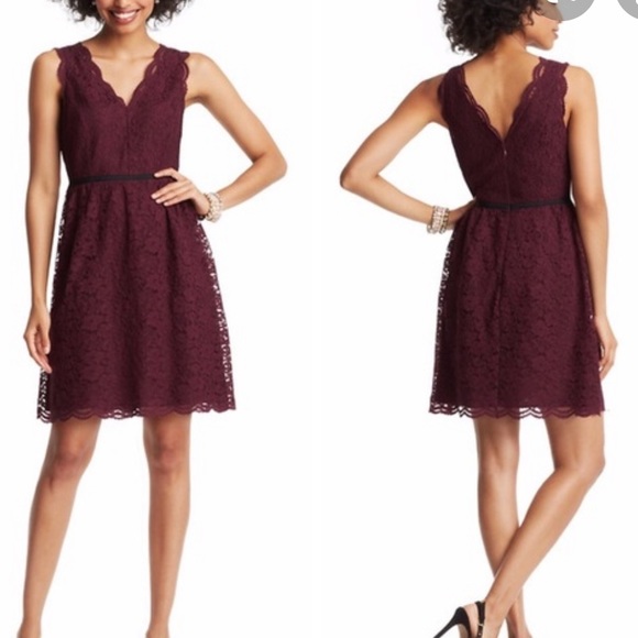 LOFT Dresses & Skirts - Loft Burgundy Lace Dress Scalloped Details NWOT